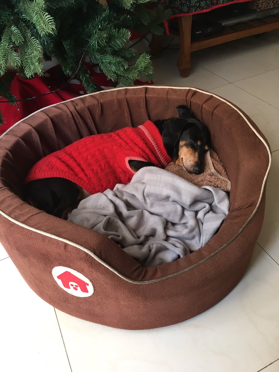 Stay warm